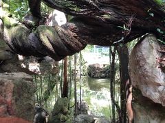 -绮园景区