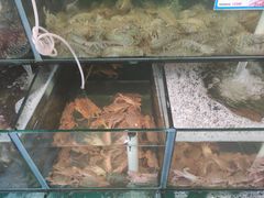 -琼大师东方烤乳猪(亚特兰蒂斯店)
