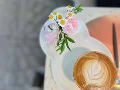 -Tomacado花厨(One ITC店)