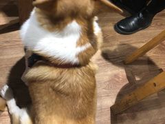 -阿木舂记·特色小吃(平江路店)