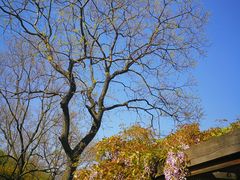 -白塘生态植物园