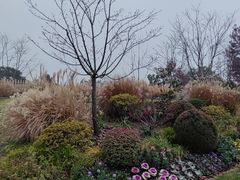 -上海植物园-4号门售票处