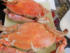 -大锅强·蒸海鲜青岛菜(吾悦广场店)