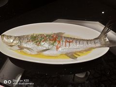 -明翠湖品·湖景餐厅