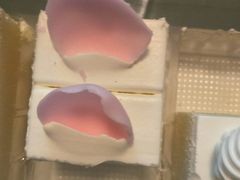 -绿姿鲜奶烘焙(新城花园店)