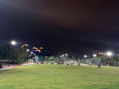 -金鸡岭桥头公园