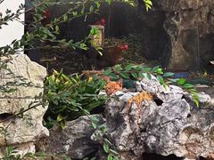 -东山雕花楼