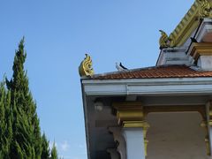 -洛阳白马寺