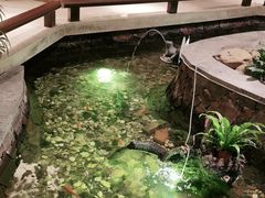 -顺峰(农展馆店)