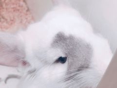 -龙猫仔乐园(惠福东路店)