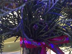 -逸馥荟(人广来福士店)