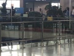 -上海浦东国际机场-T2航站楼