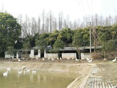 -武汉世外桃源农庄