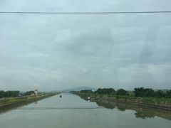 -大湾区中央湿地公园