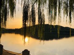 -济南国际园博园