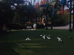 -成都欢乐谷