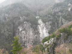朱雀森林公园-朱雀国家森林公园