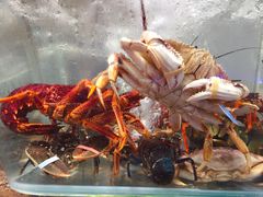 -盒马鲜生(悠方店)