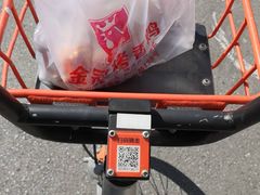 -金冠烤香鸡