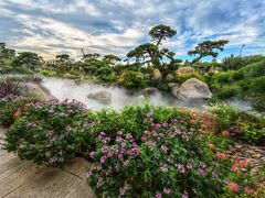 -罗红摄影艺术馆