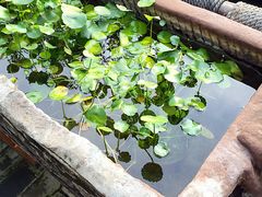 -慢丽江·云南野生菌土鸡锅(西山店)