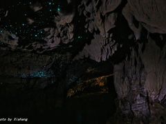 -怀托摩萤火虫洞