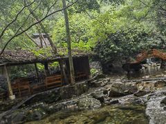 -天门沟九州驿站树上汤泉