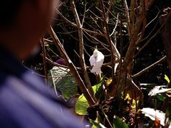 -普洱太阳河森林公园