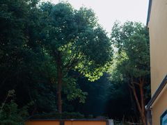 -龙寺生态园