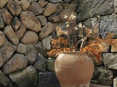 -MOJ coffee(瓯海泽雅水碓坑店)