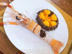 -斯普汇生蚝牛排馆(中骏世界城店)