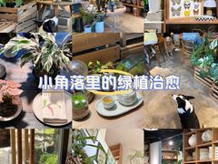 -自由生长植物工作室(深港花卉中心店)