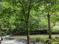 -阿哈湖国家湿地公园