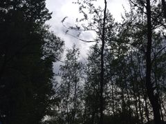 iphone_upload_pic-乌龙峡谷景区