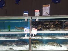 -盒马鲜生(莱蒙都会店)