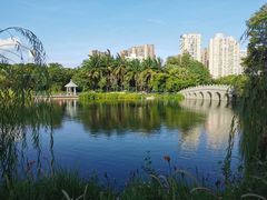 -四海公园(南山区)