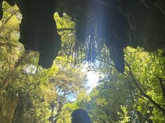 -怀托摩萤火虫洞