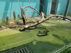 -无锡动物园·太湖欢乐园