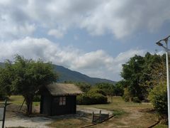 -亚龙湾国际玫瑰谷