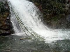 -永州阳明山国家森林公园