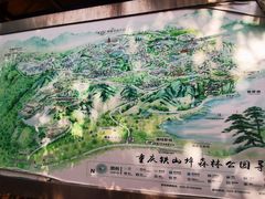 -铁山坪森林公园