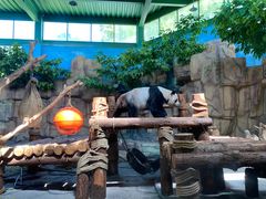 -泉州海丝野生动物世界