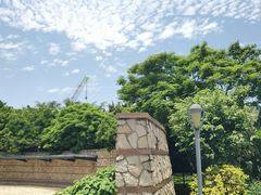 -深圳湾公园-停车场