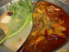 大骨汤拼麻辣汤-麻田会 ·鲜活现烹·牛蛙火锅(珠江新城维家思广场店)