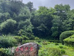 -铁山坪森林公园