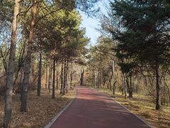 -长春市南湖公园