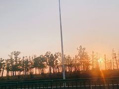 -合肥新桥国际机场-航站楼
