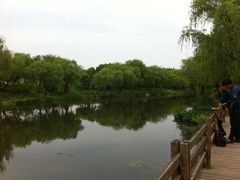 iphone_upload_pic-新江湾城公园