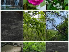 -白马涧龙池景区