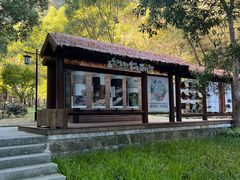 -宁波五龙潭景区